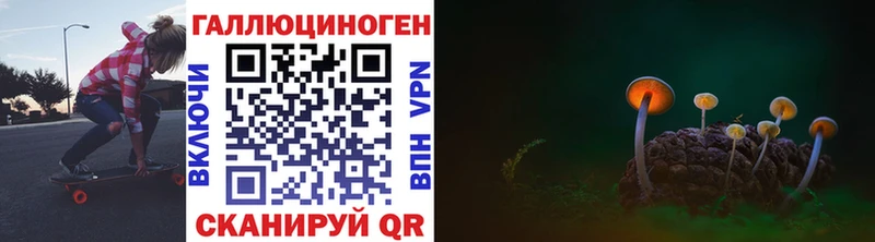 наркота  Юрьев-Польский  Псилоцибиновые грибы Psilocybe 